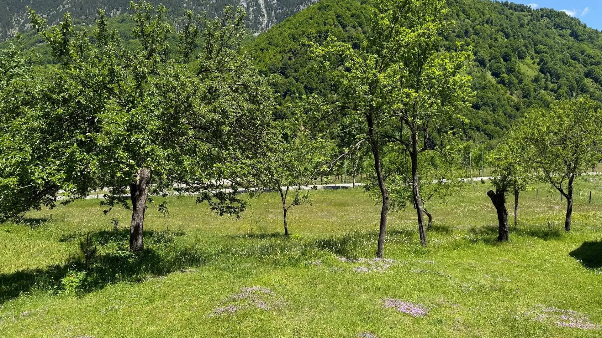Hotel Bujtina Frati à Vermosh
