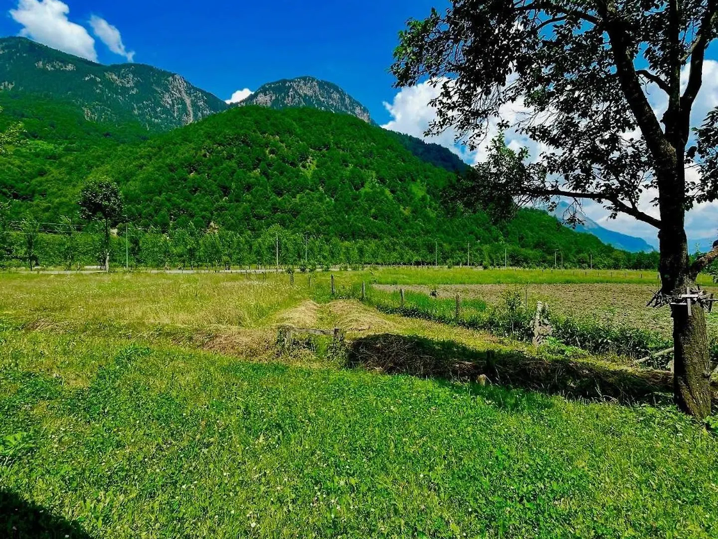 Hotel Bujtina Frati à Vermosh 0*,  Albanie